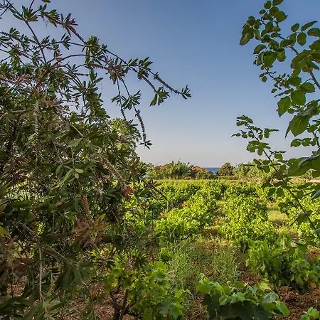 Porto Giardino Appartement