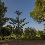 Porto Giardino Apartamento Kypseli